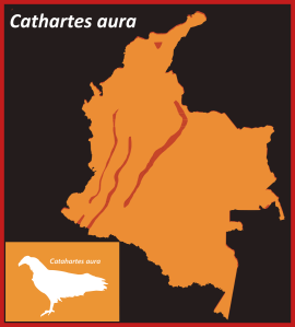 CathartesAura_Map