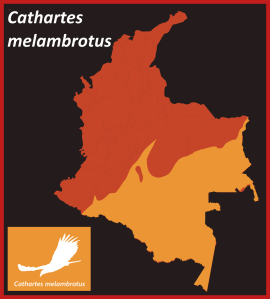 CathartesMelambrotus_Map